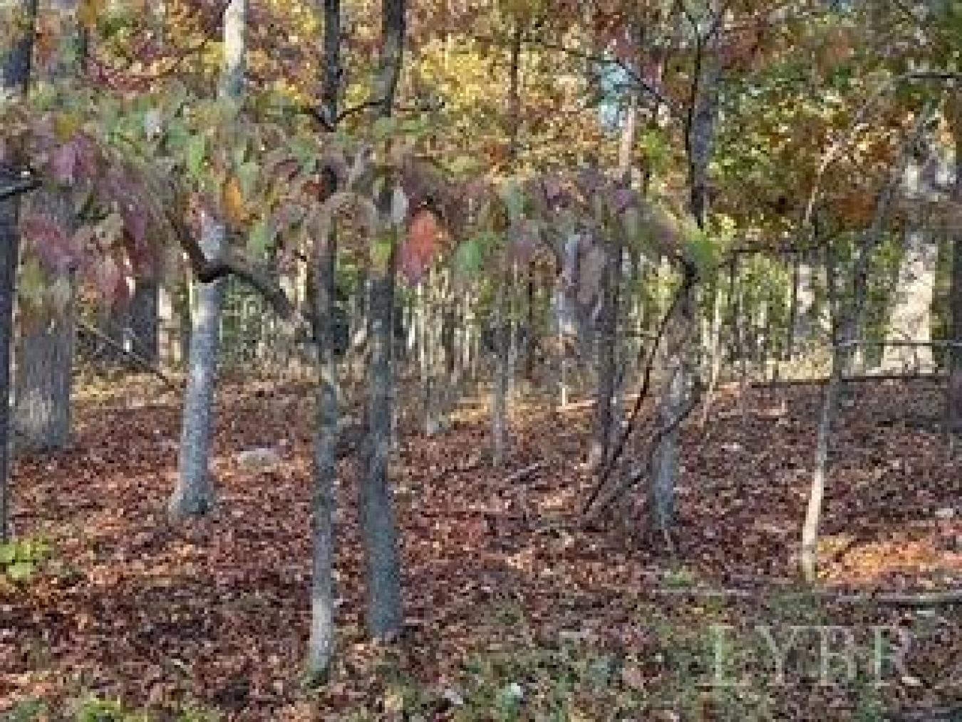 property-image-14