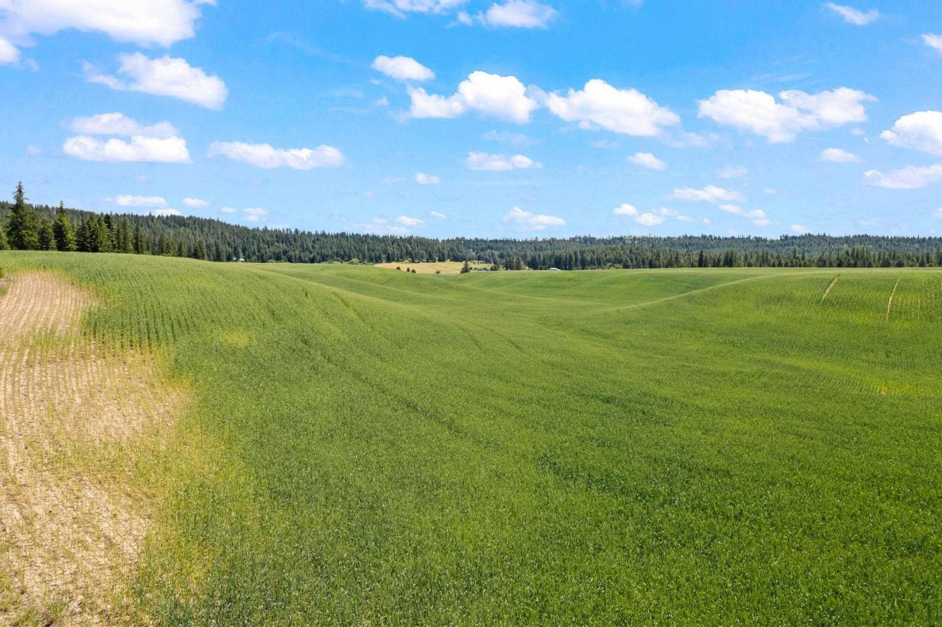 property-image-13