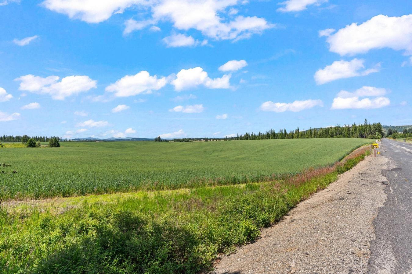 property-image-16