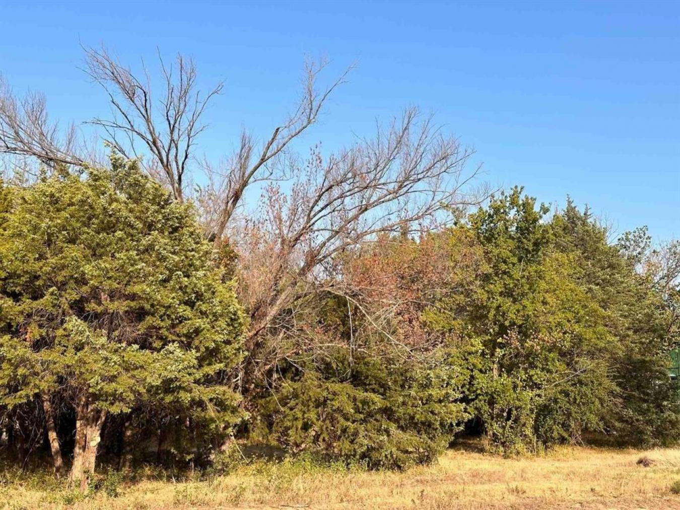 property-image-4