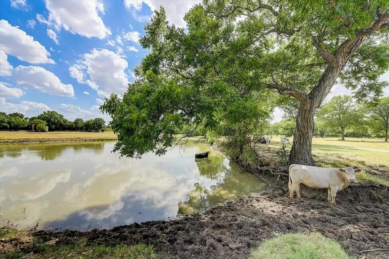 property-image-33