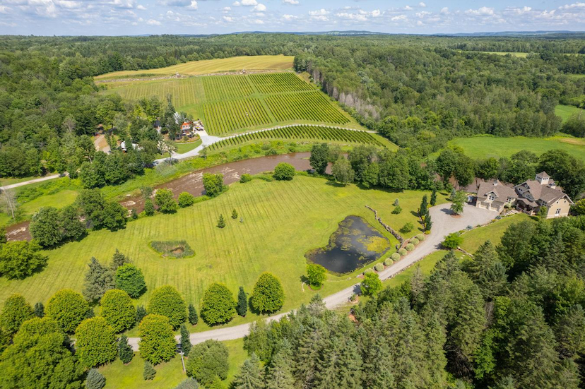 VIGNOBLE À VENDRE au QUÉBEC, en MONTÉRÉGIE !