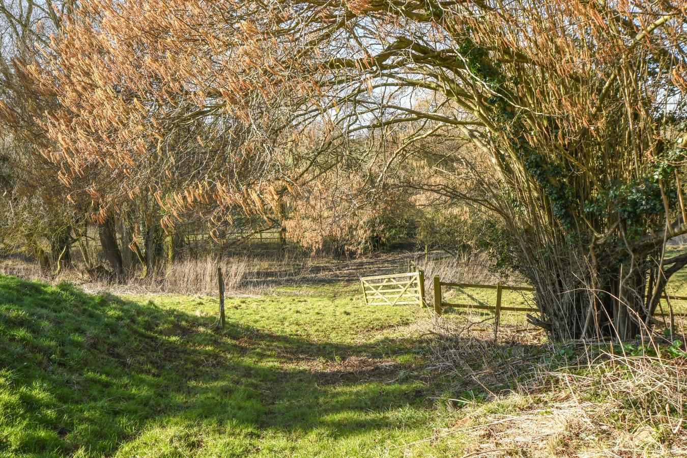property-image-8