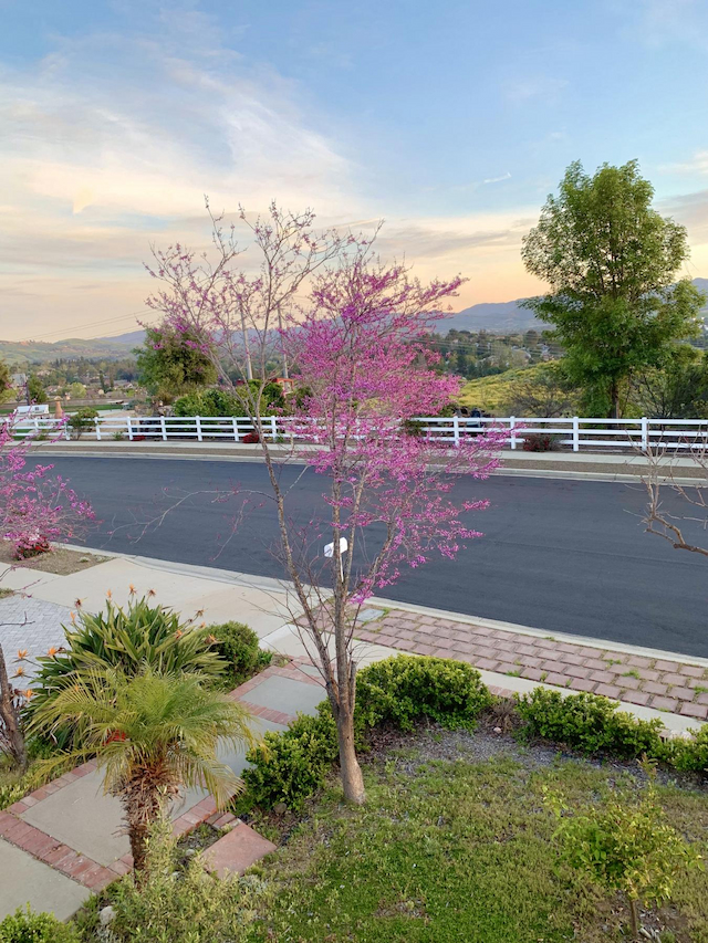 property-image-2
