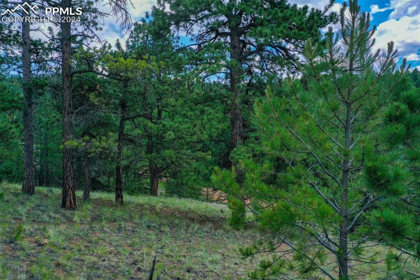 property-image-15