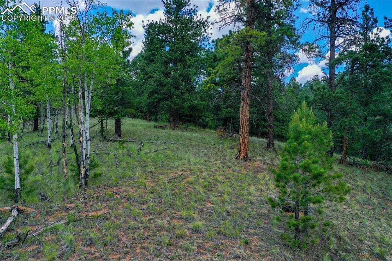 property-image-16