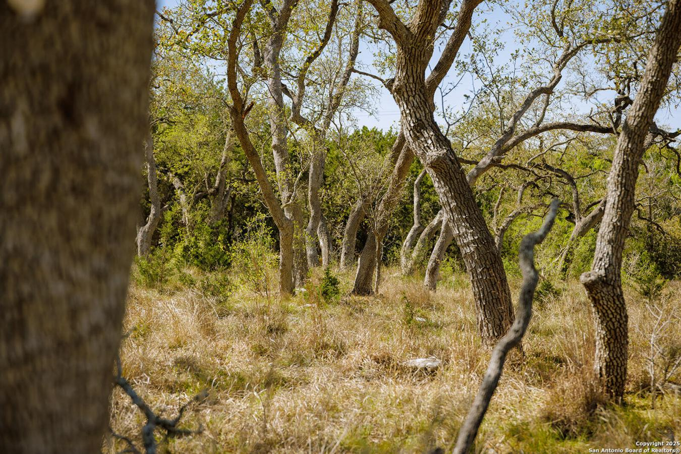 property-image-10