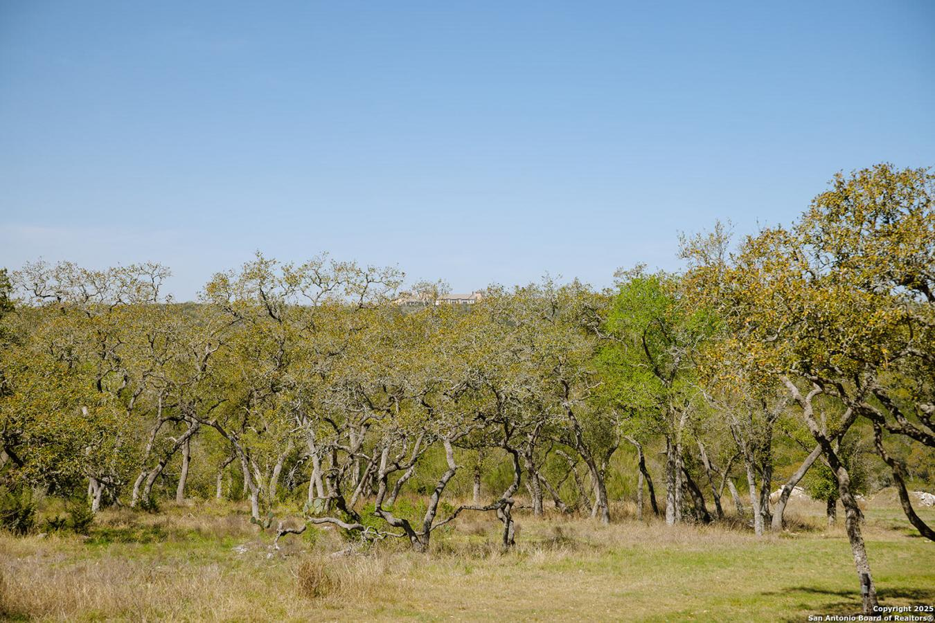 property-image-11