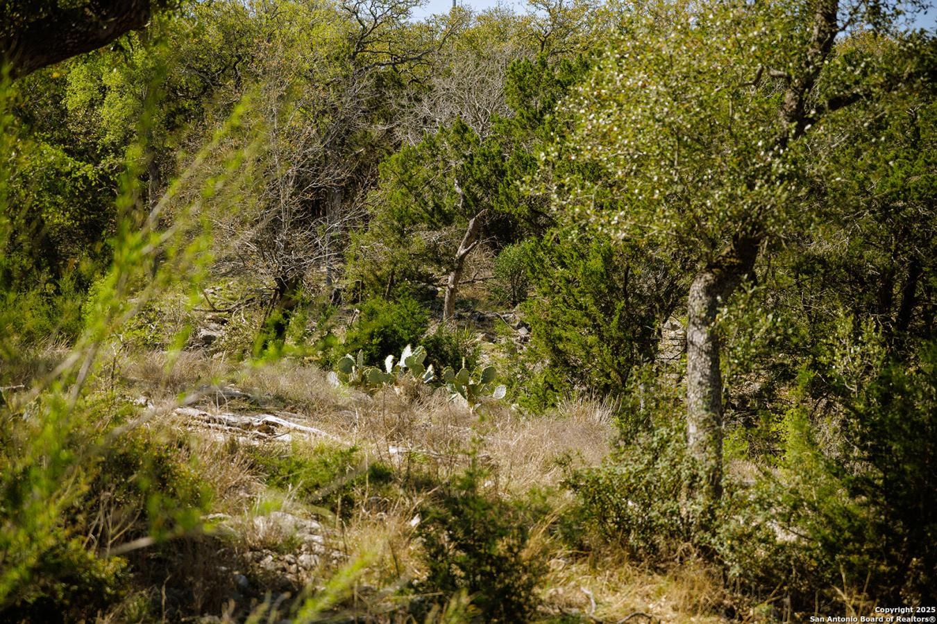 property-image-9