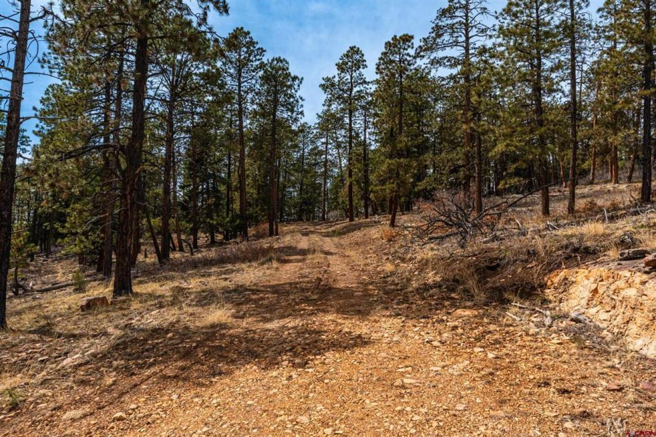 property-image-11