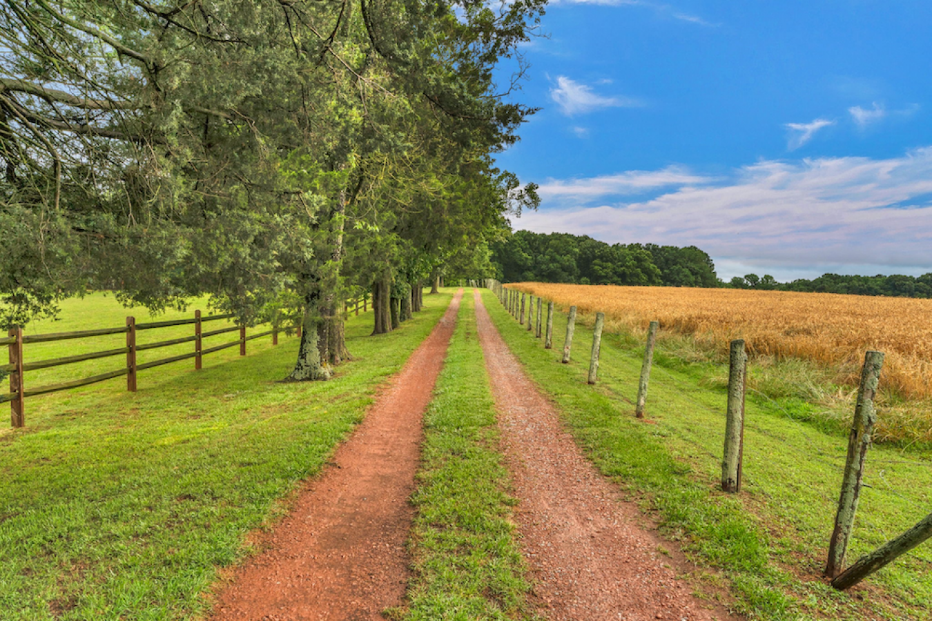 property-image-11