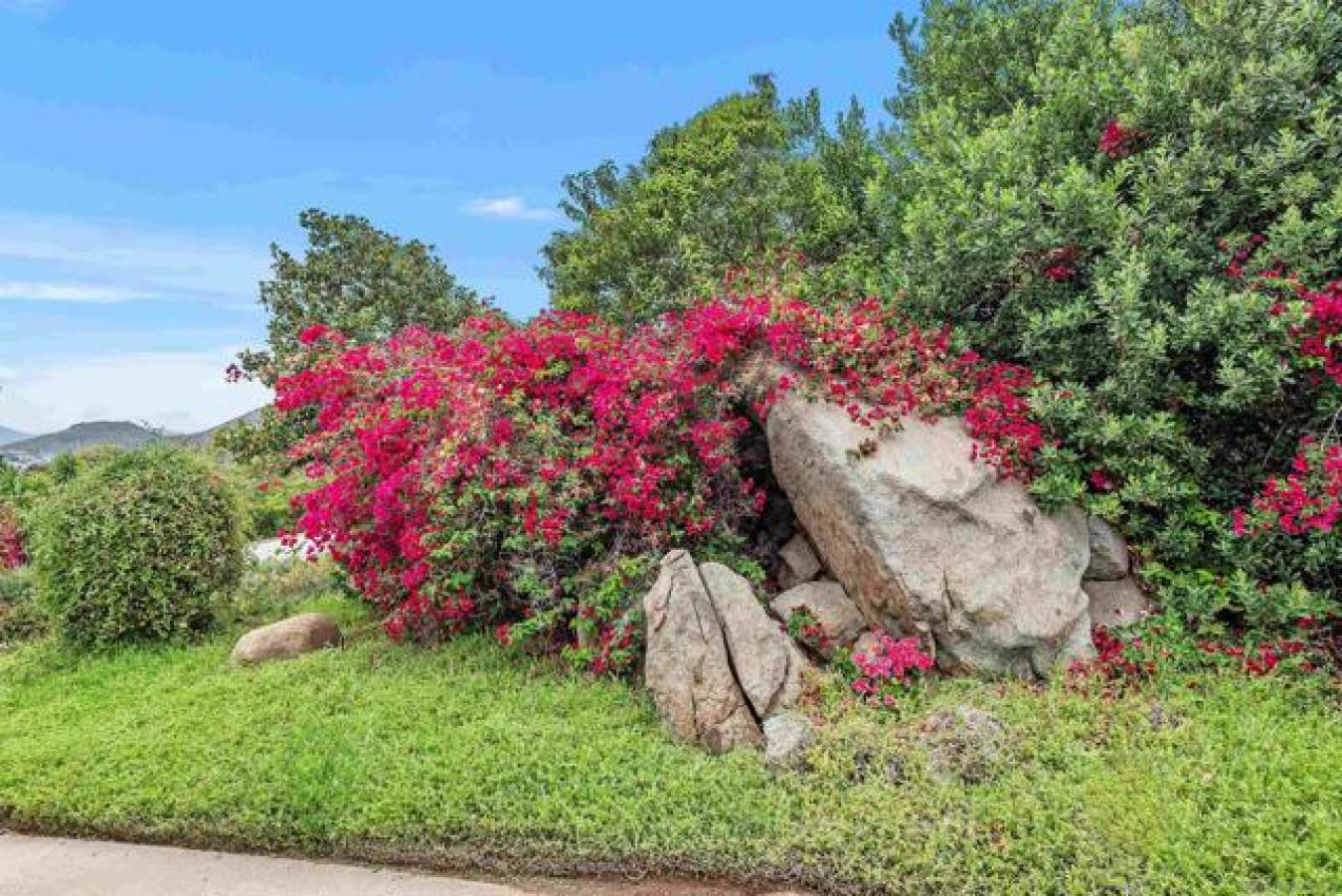 property-image-18