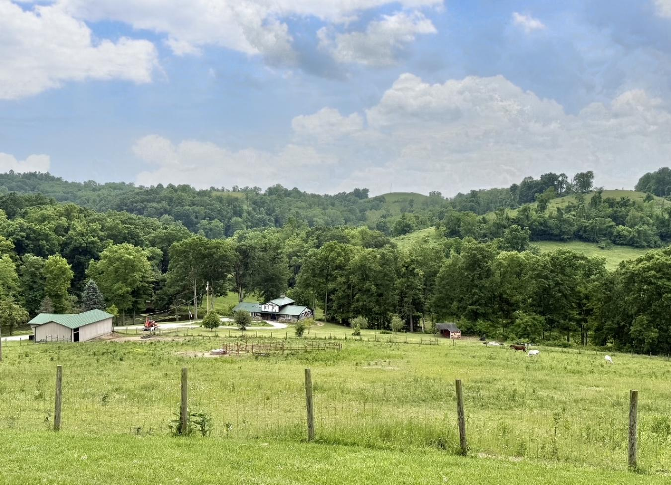 property-image-20