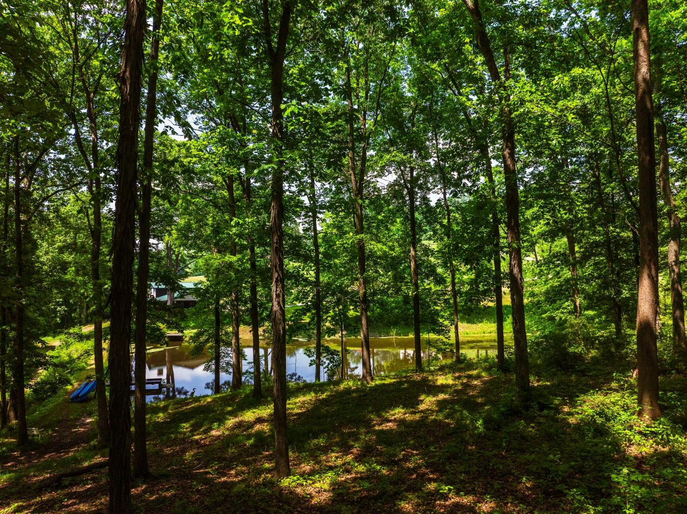 property-image-33