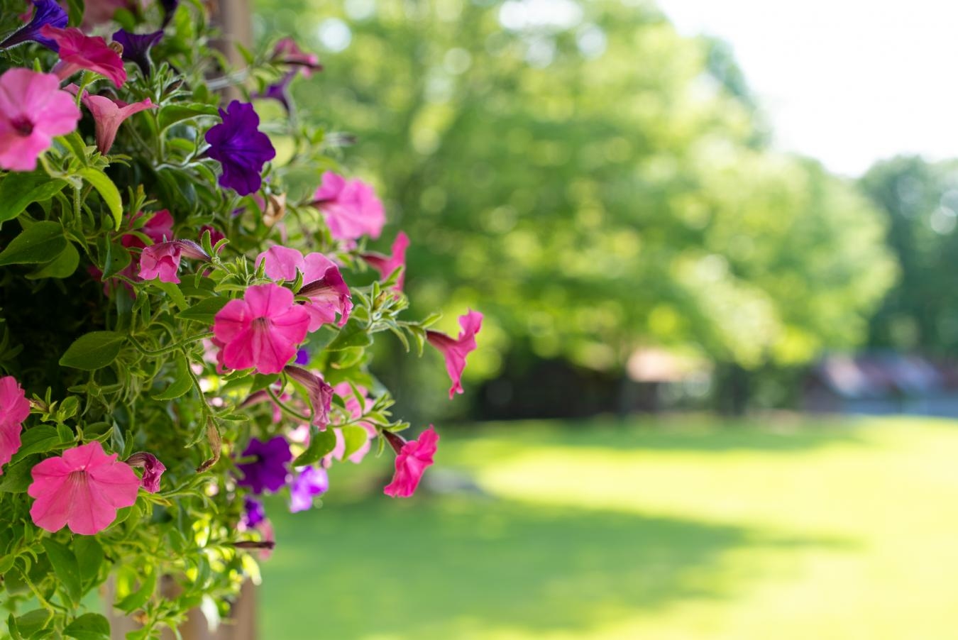 property-image-19