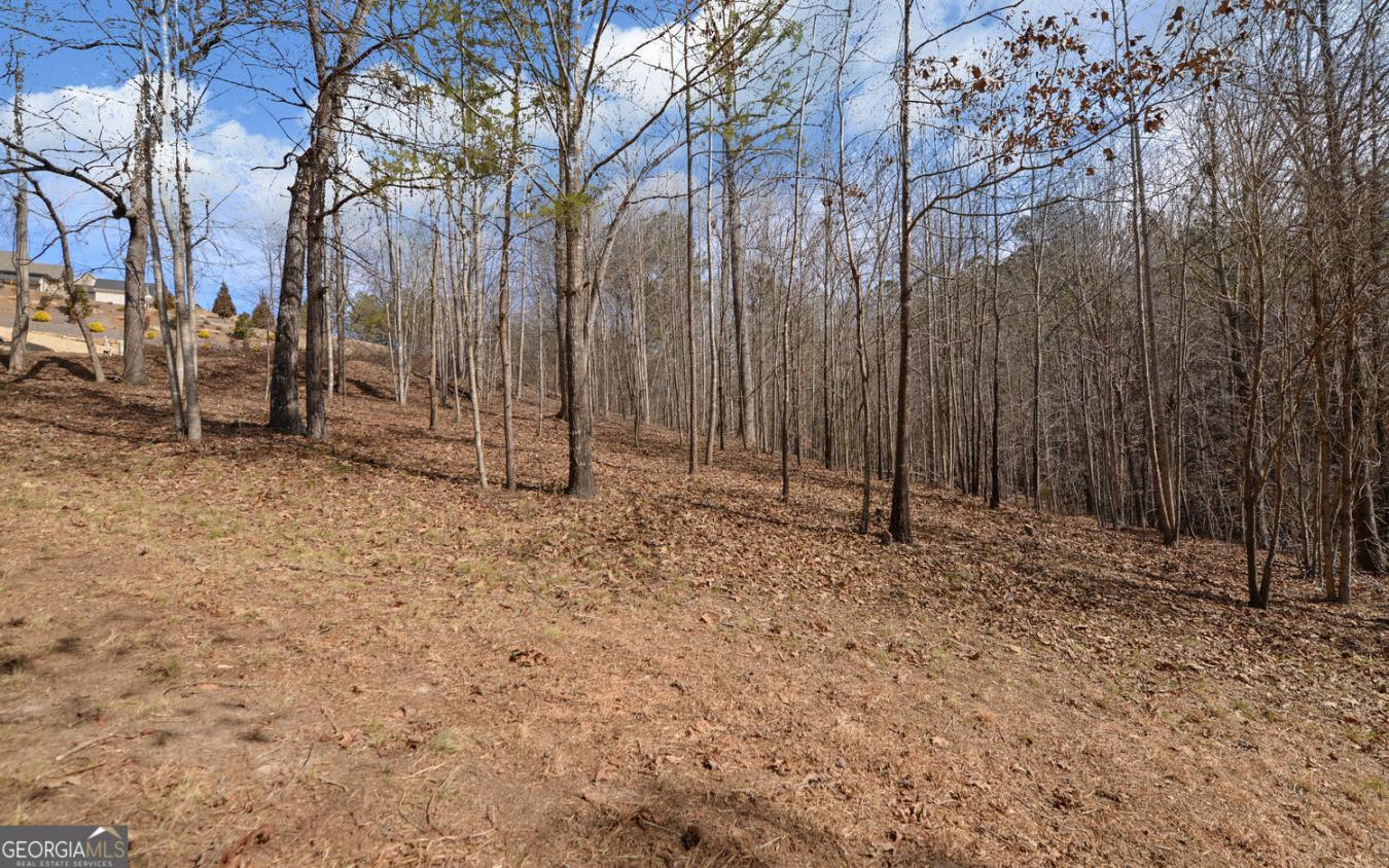 property-image-14