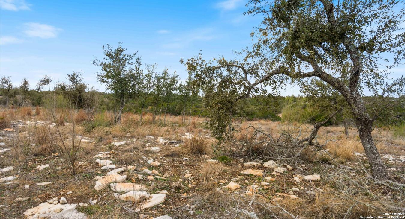 property-image-17