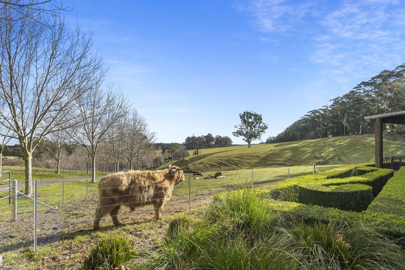 property-image-10