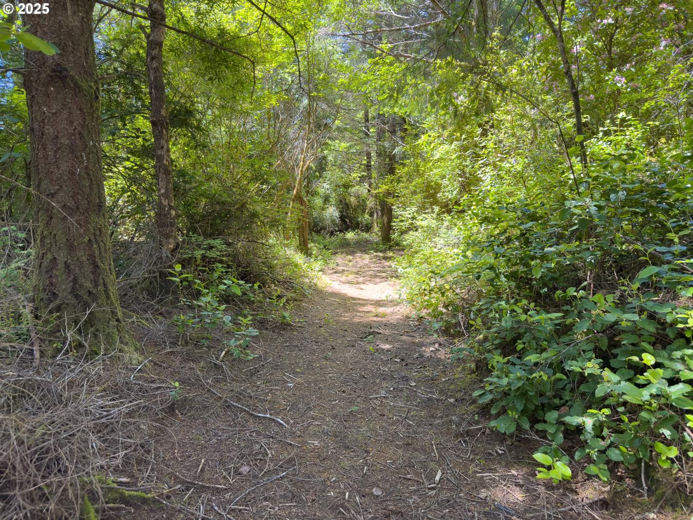property-image-16