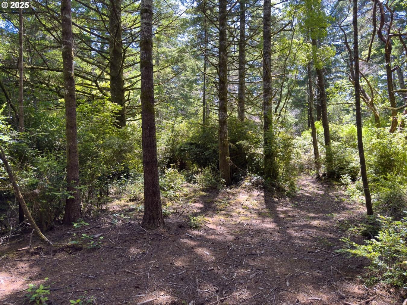 property-image-18