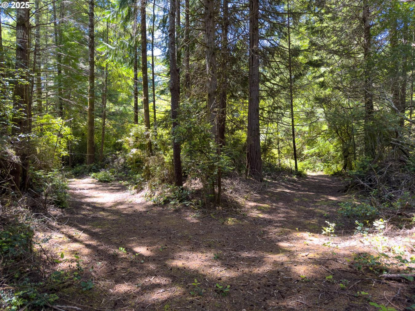 property-image-22