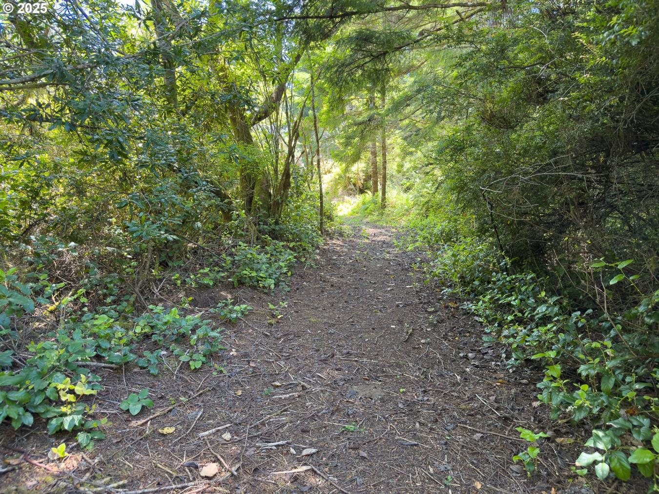 property-image-23