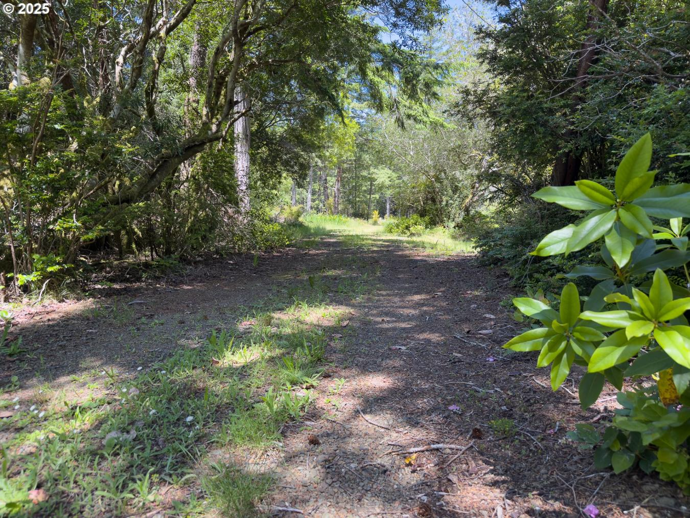 property-image-5