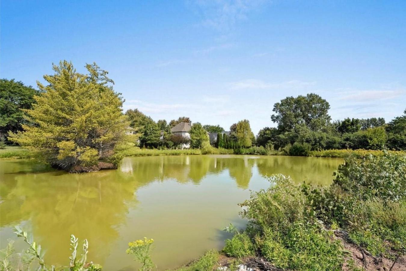 property-image-4