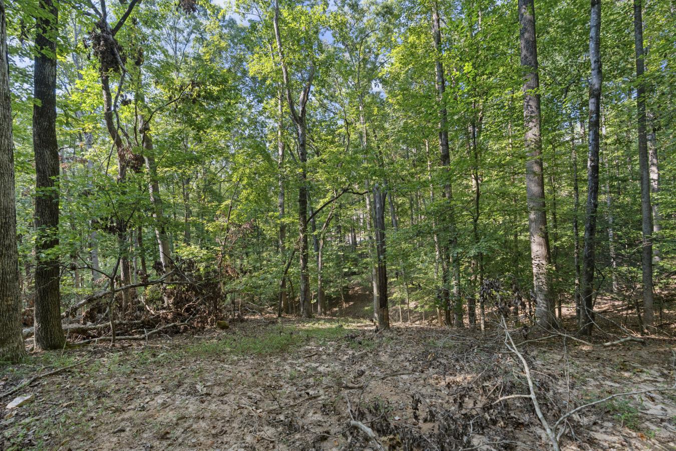 property-image-16