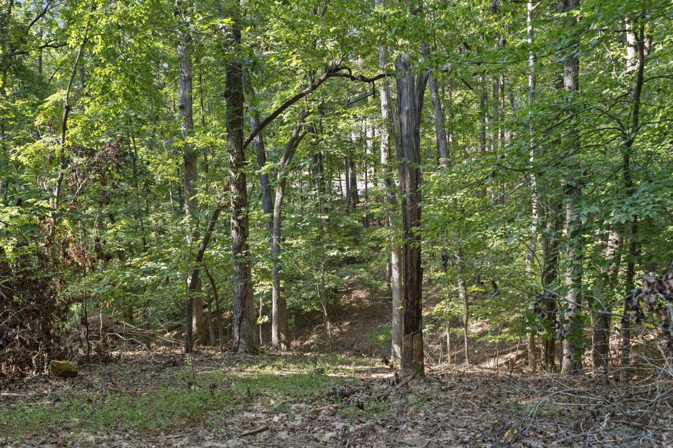 property-image-17