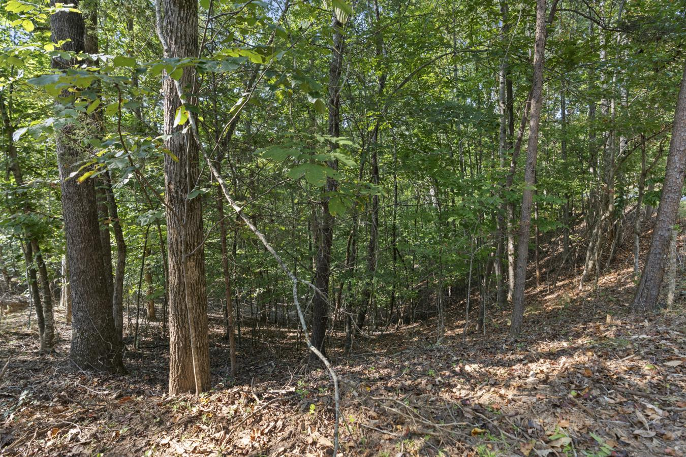 property-image-11