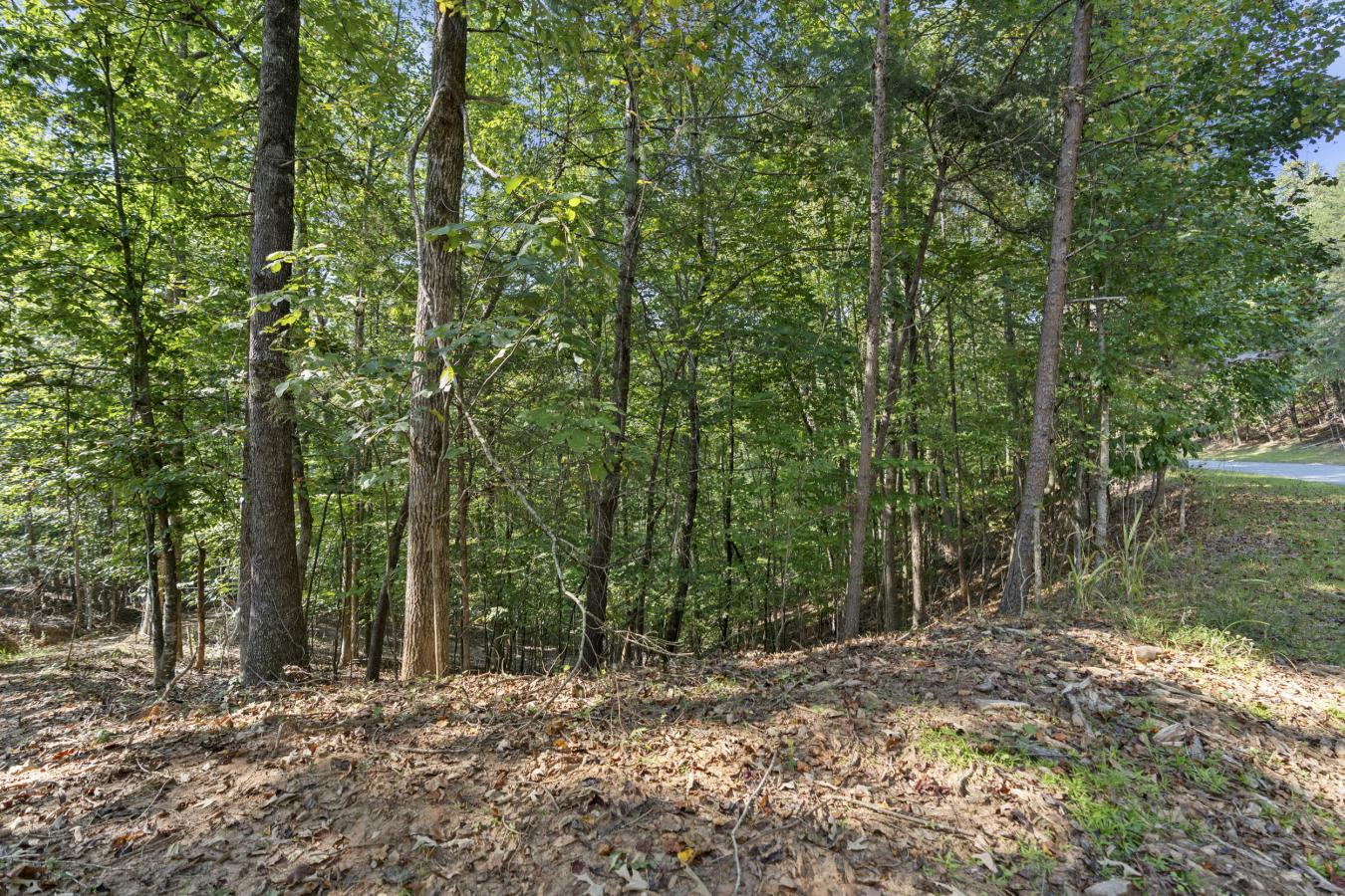 property-image-12