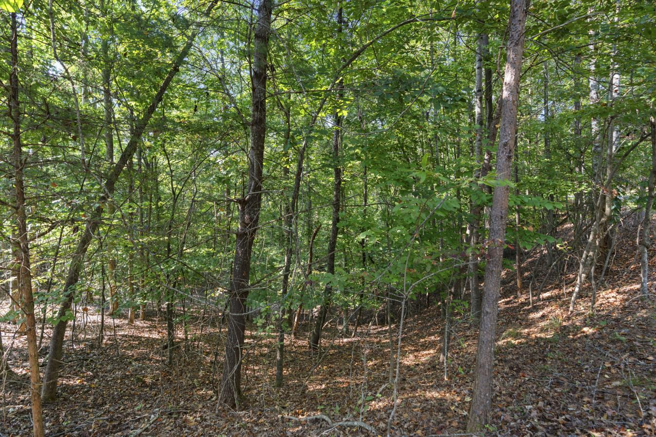 property-image-13