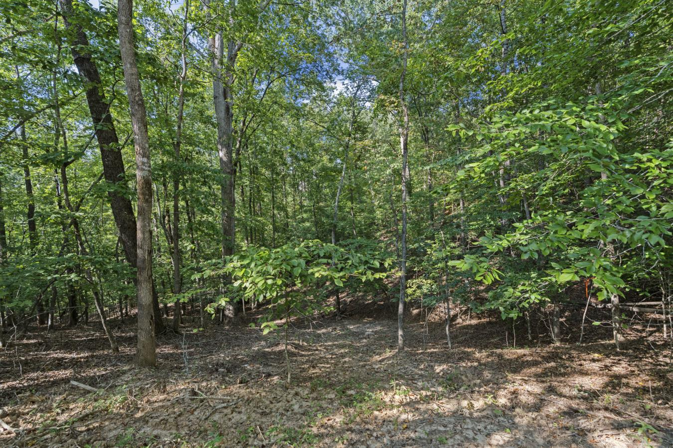 property-image-15