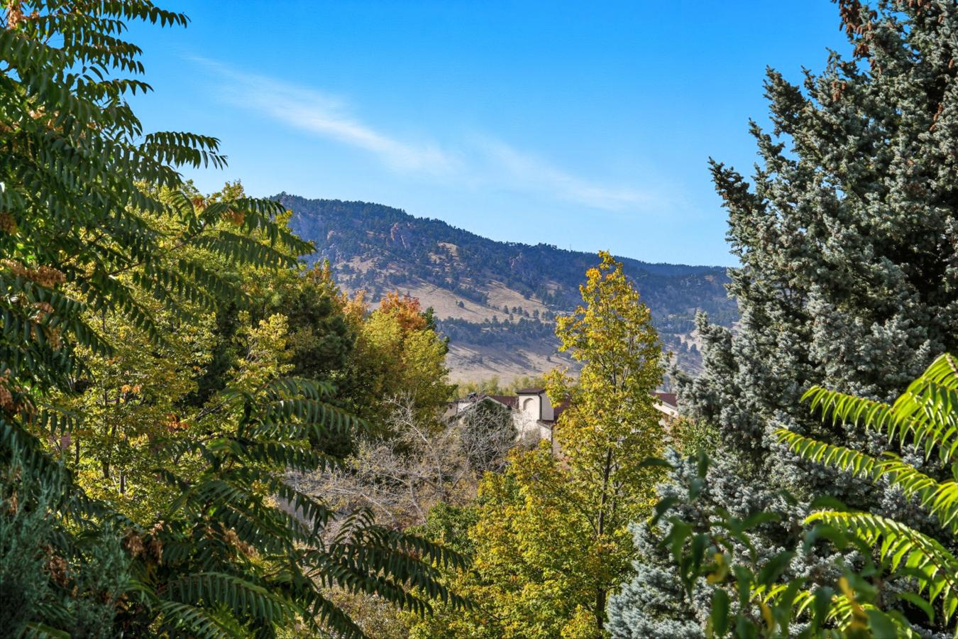 property-image-20