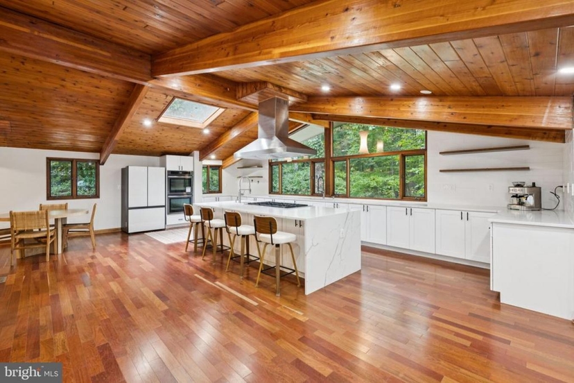 11428 PURPLE BEECH