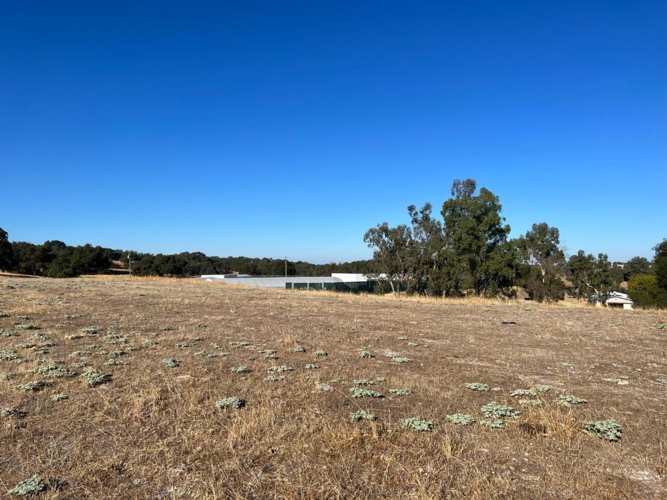 property-image-19