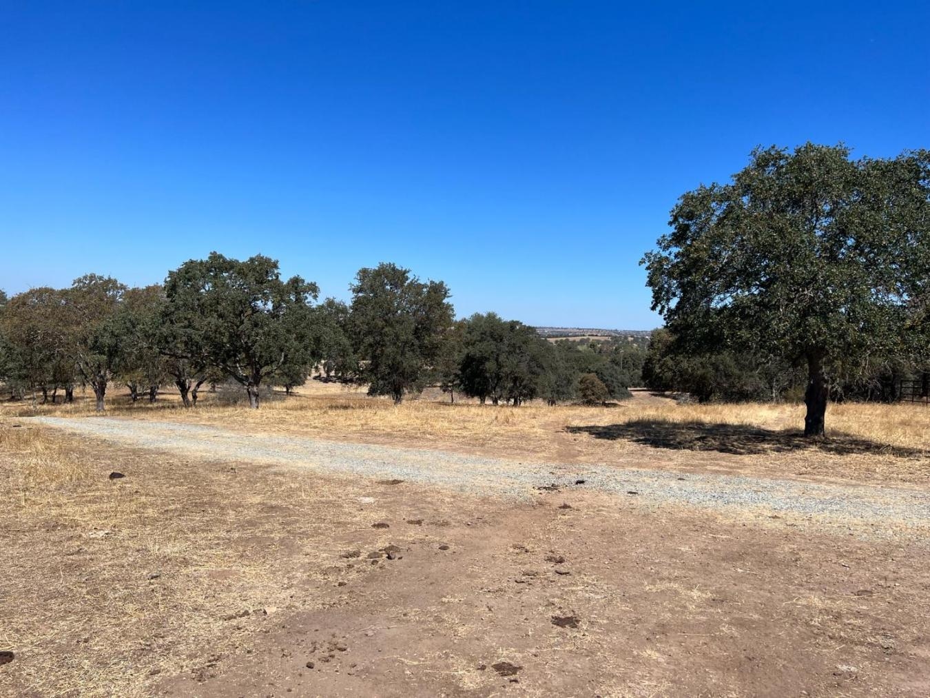 property-image-25
