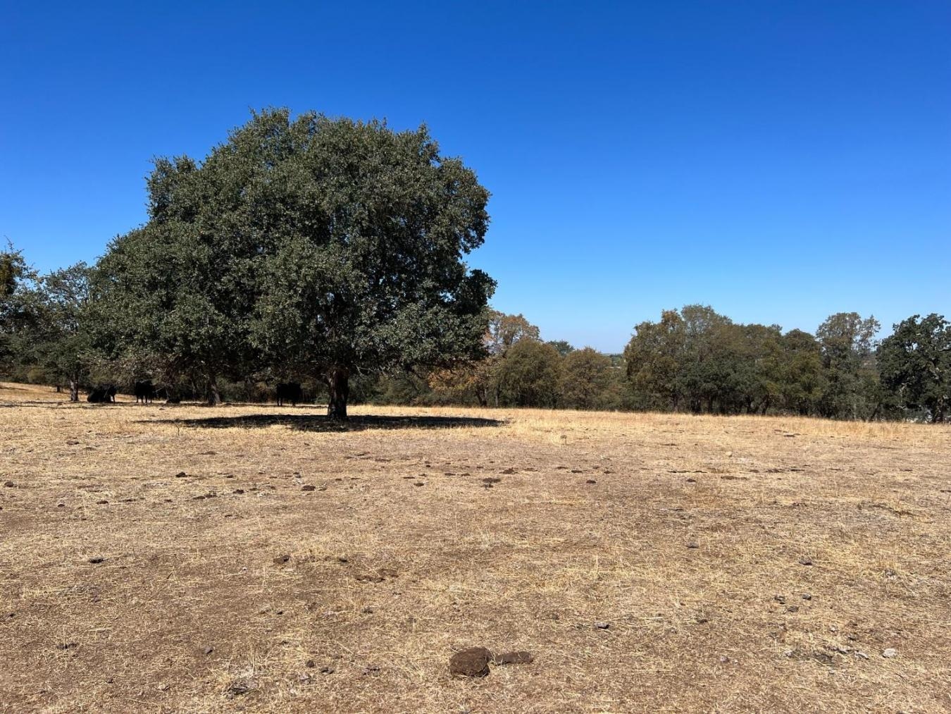 property-image-26