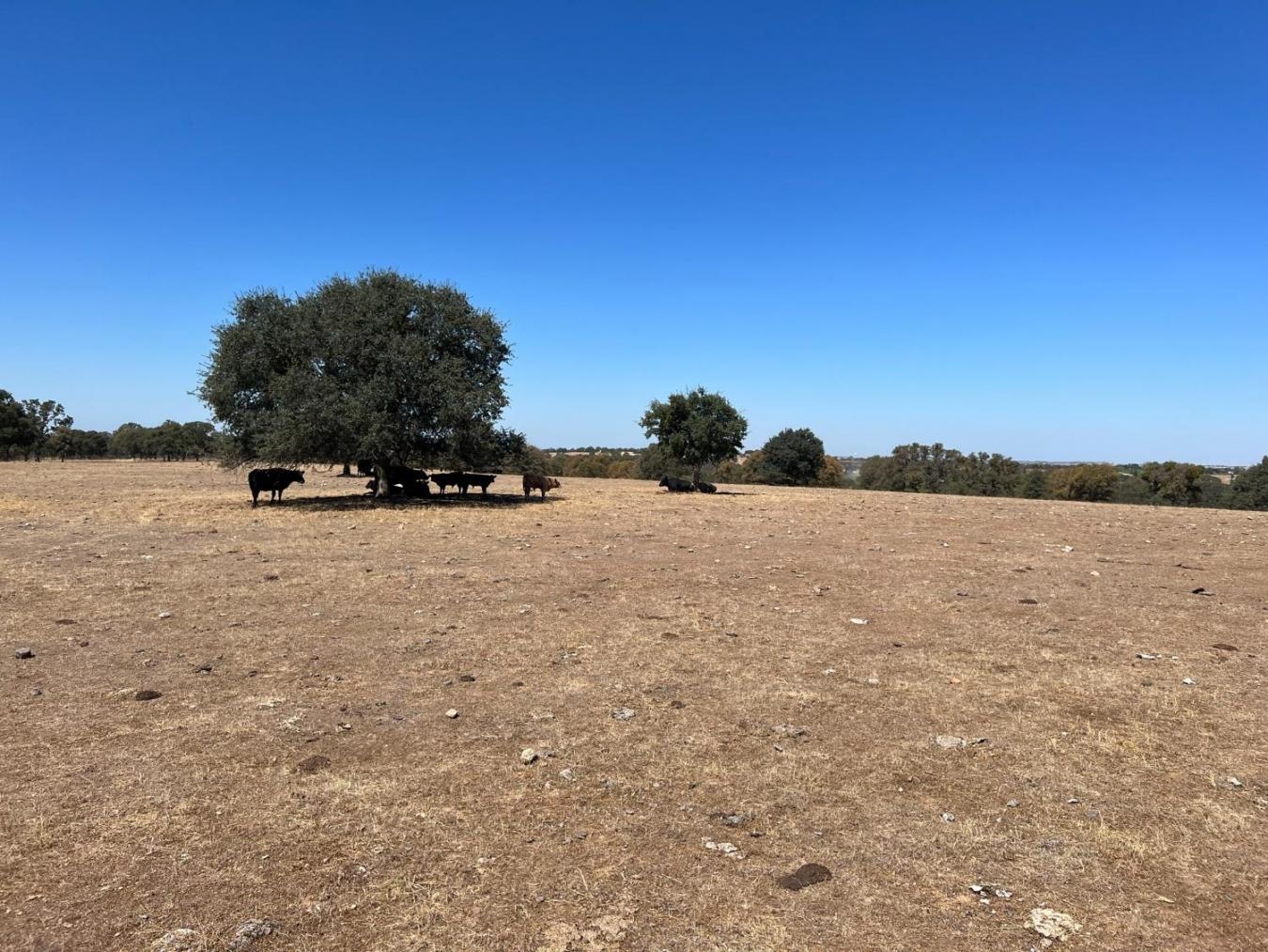 property-image-27