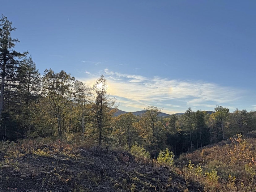 2 Gorgeous mountain view lots affords you