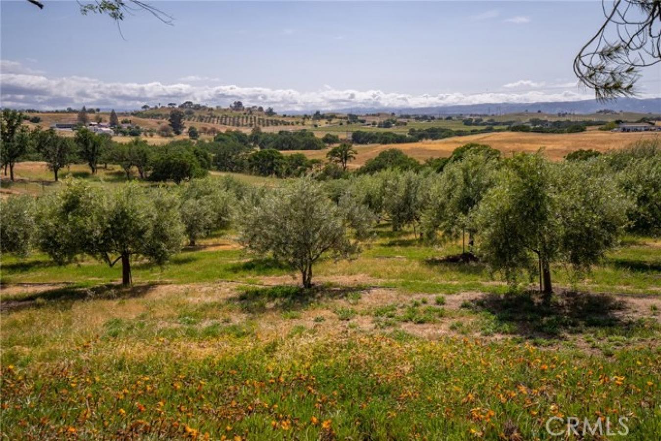 property-image-16