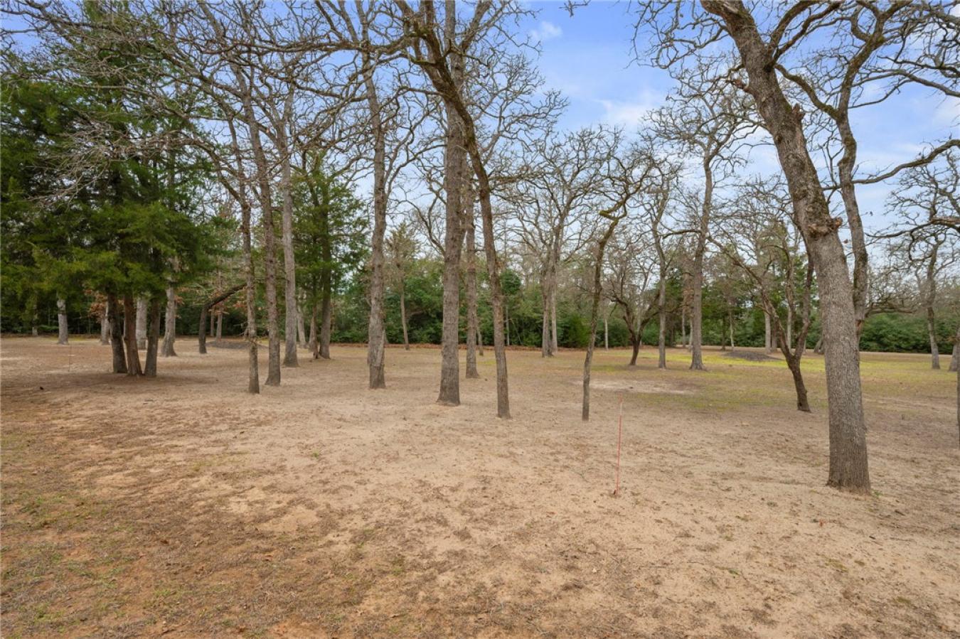 property-image-19