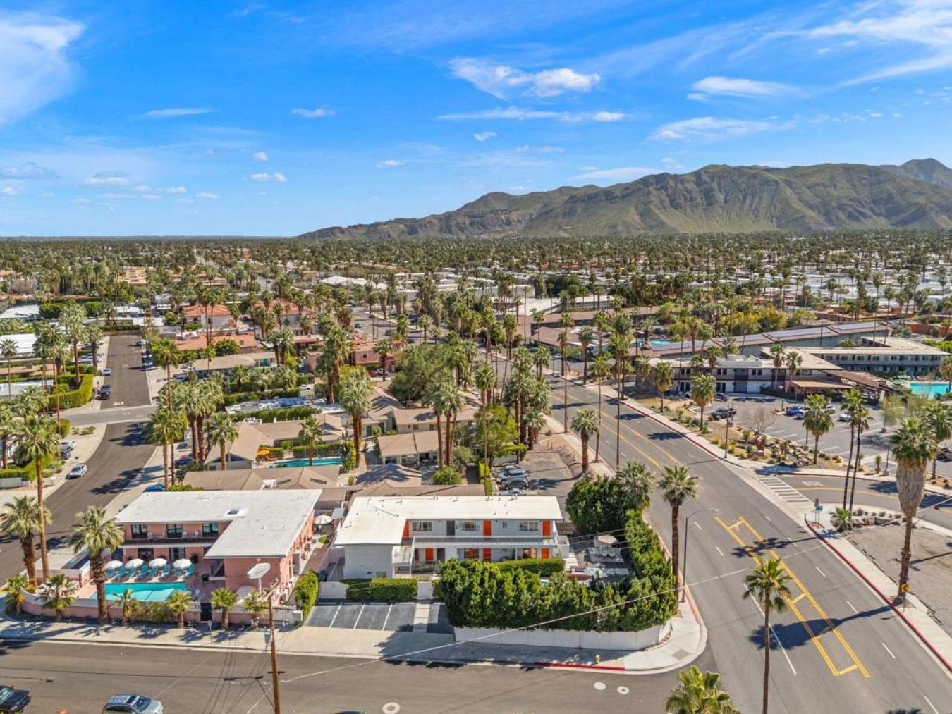 310 Palm Canyon Drive