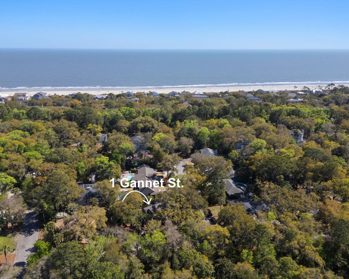 1 Gannet Street