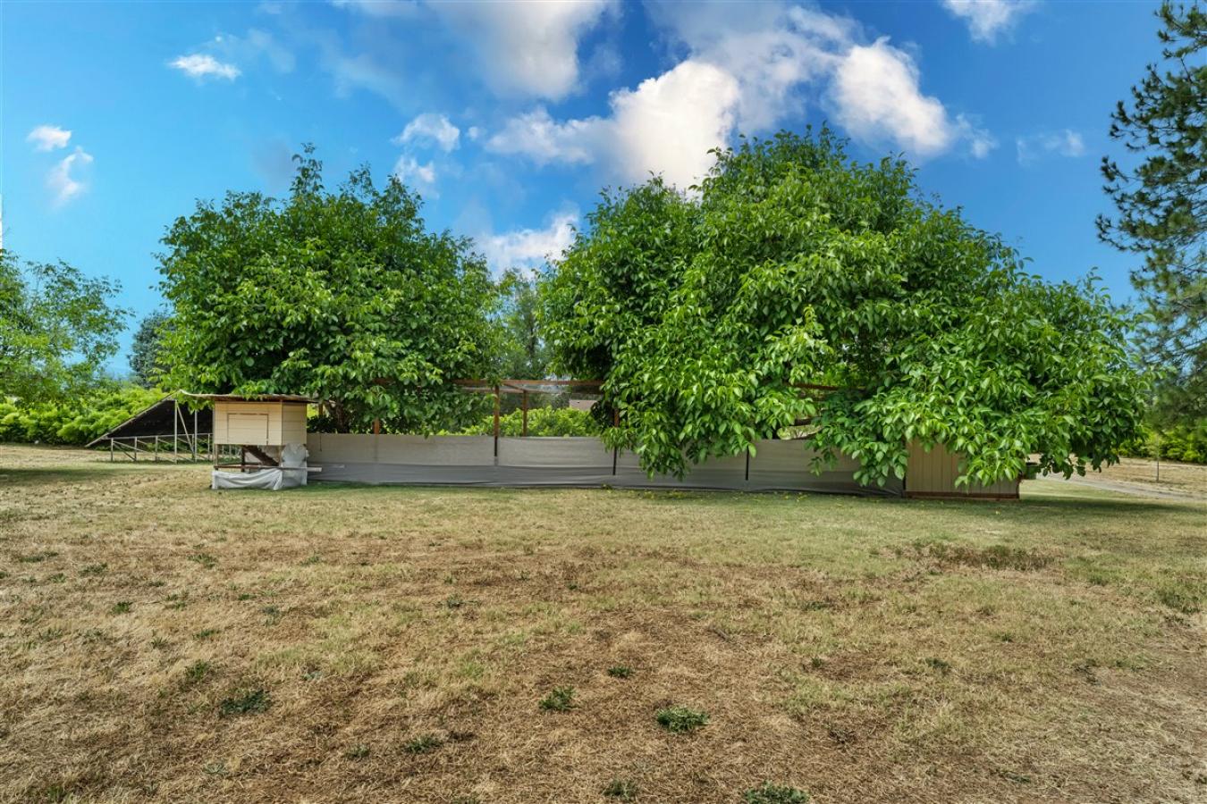 property-image-32