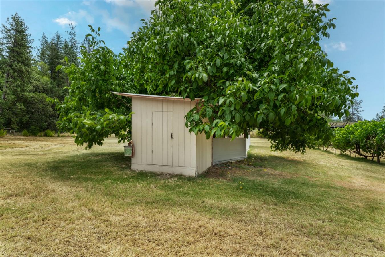 property-image-33