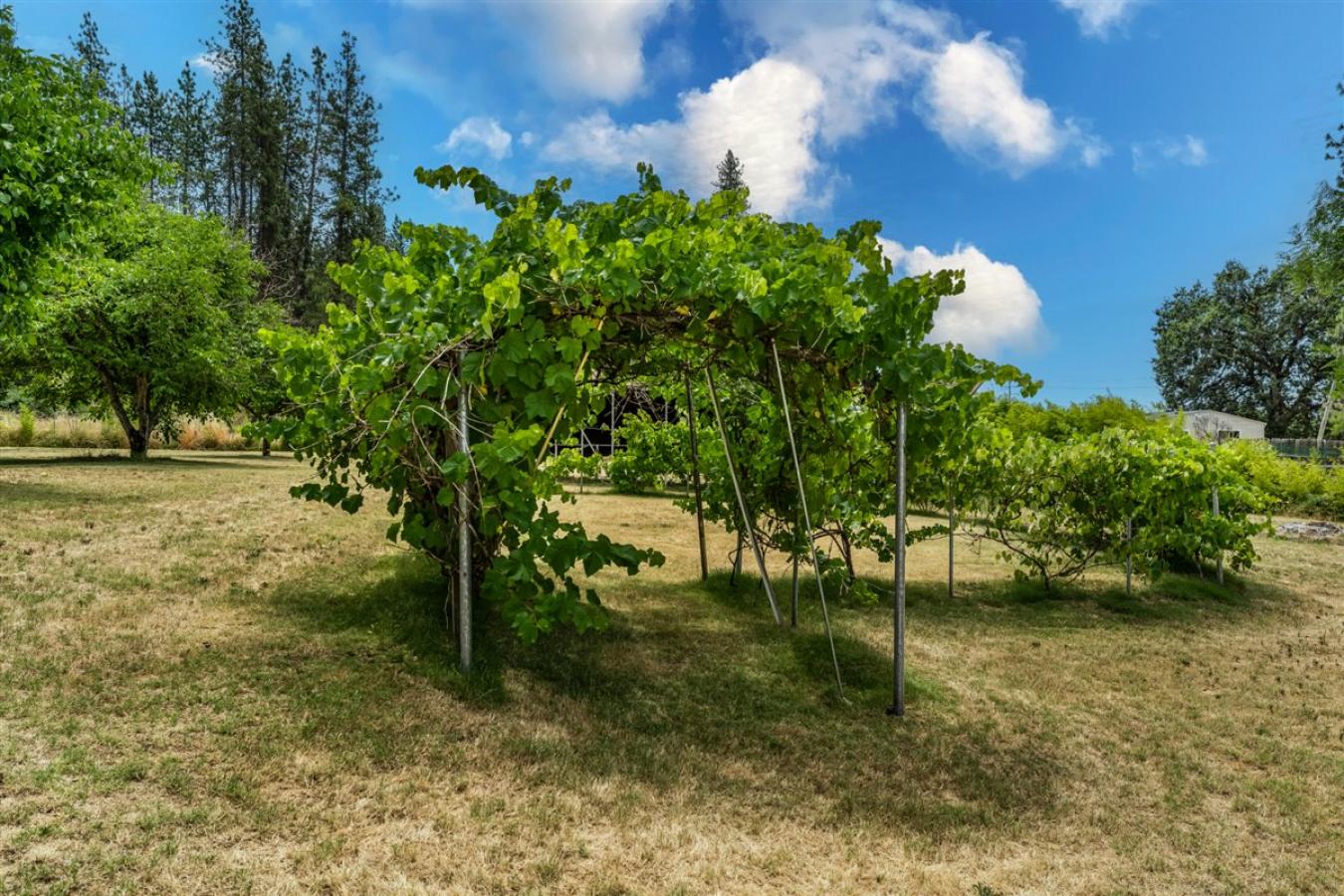 property-image-34