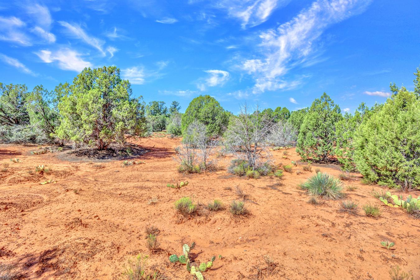 property-image-11