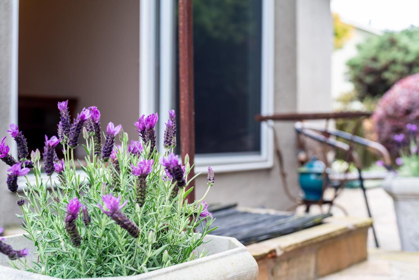 property-image-17